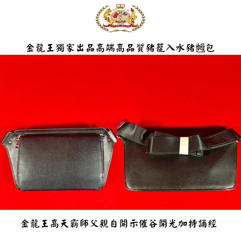高贵高端特强猪笼入水手提猪乸包 Elegant & extra-strength Wealth-roll-in handbag